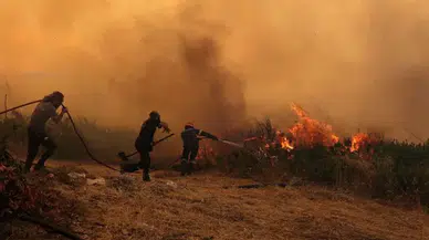 CHP'li Başarır: "Sorumluluk yok, ormanlarımız yanıyor!"