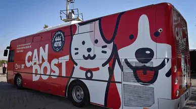 Sokak Hayvanları “Can Dost” Projesi ile Güvende!