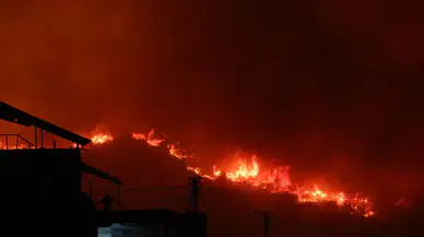 Hatay'daki orman yangınlarına 412 araç ve 957 personelle müdahale sürüyor