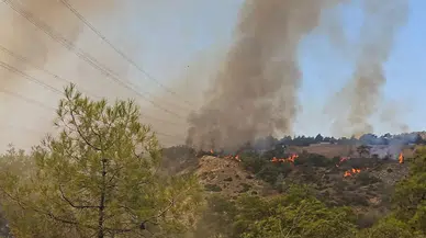 Afyonkarahisar'da Orman Yangını: Müdahale Havadan ve Karadan Sürüyor