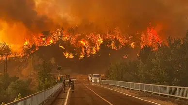 Vahap Seçer'den orman yangınlarına dikkat: "Bir kıvılcım her şeyi yok edebilir"