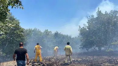 Seyitgazi Orman Yangını: Mesai Arkadaşlarından Üzüntü ve Duyarlılık Çağrısı