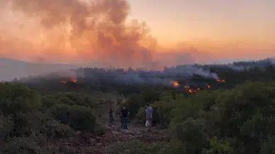 İzmir Urla’da Orman Yangını Gece Saatlerinde Kontrol Altına Alındı