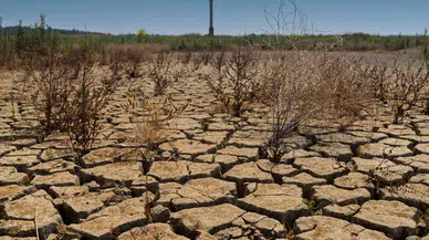 Barajların Doluluk Oranı Alarm Veriyor: İZSU'dan Su Tasarrufu Çağrısı!