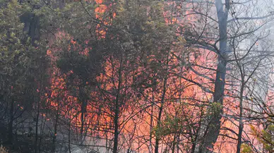 Bornova Belediyesi’nden Gökdere Yangınına 200 Kişilik Müdahale