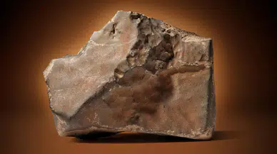 Geek Week 2025'te 150 milyon yıllık dinozor ve Mars meteoriti açık artırmaya sunulacak!