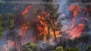 CHP'li Gülcan Kış Meclis’te Sordu: “Her Yaz Aynı Acıyı Yaşamak Zorunda Mıyız?”