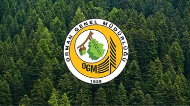 Çanakkale'deki Yangın Kontrol Altına Alındı, Tekirdağ'da Müdahale Sürüyor