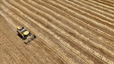 TÜİK 24 Yıl Sonra Yeniden Tarım Sayımı Yapıyor: Eleştiriler Gecikmedi