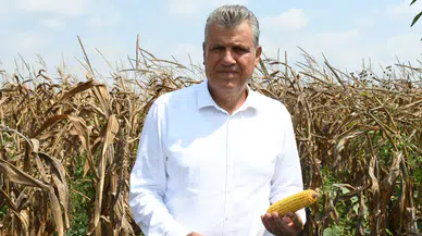 Chp'li Ayhan Barut: "Kanayan yaraları daha da büyütüyorlar!"