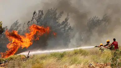 Üç İlde Orman Yangınlarına Havadan ve Karadan Müdahale Sürüyor