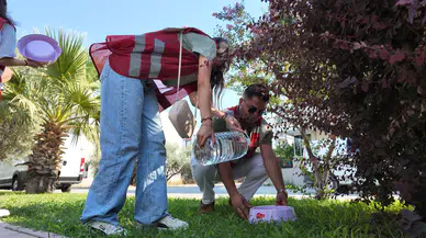 “Gelin Birlikte Yaşatalım” Çağrısıyla Sokak Hayvanlarına Su Seferberliği