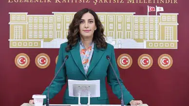 İstanbul Milletvekili Rızvanoğlu, kaçan aslan olayı için bakanlığa soru önergesi verdi