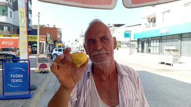 Kilosu 250 Lira, Tane İncir 25 Lira: Vatandaş Tek Tek Almak Zorunda