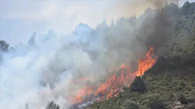 CHP’den Meclis’e Kritik Yangın Soruşturması: “Orman da İnsan da Yandı” İddiası