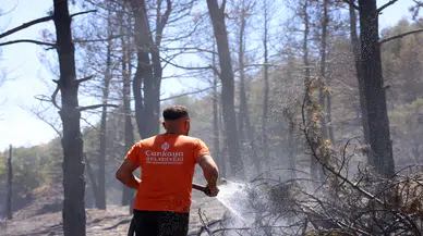 Çankaya'da Eymir Ormanı'ndaki yangına hızlı müdahale, sebebi belirsiz!
