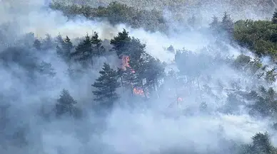 İBB’den Sakarya-Bilecik Orman Yangınına Çok Yönlü Müdahale: Yangın Kontrol Altında