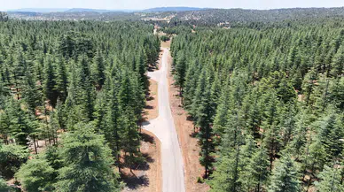 Mersin Büyükşehir’den Kırsala Yol Yatırımı: Bolyaran ve Göktürk’e Asfalt