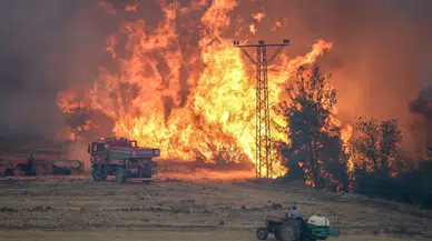 Bilecik'teki yangın rüzgarın etkisiyle yeniden alevlendi, müdahaleler yetersiz kaldı!