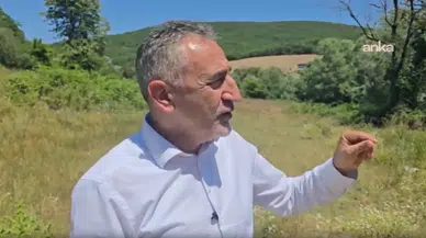 Ferrero'nun Fındık Tekelleşmesine Son: Mahkemeden Üreticiler İçin Tarihi Karar