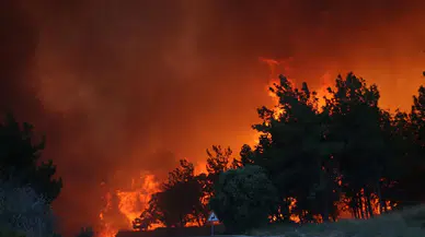 Karabük İl Başkanı Uzun: Orman yangınları için hükümet yetersiz, bu bir suç!