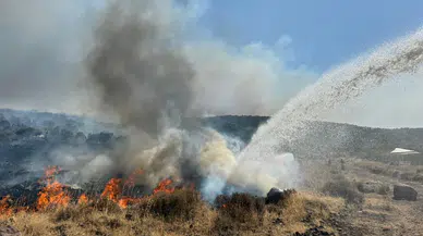 İzmir'de itfaiye ekipleri son 24 saatte 100'e yakın yangına müdahale etti