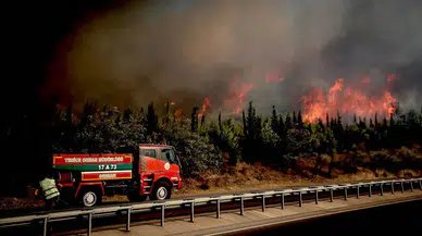 Orman Genel Müdürü: “Yangını En Kısa Sürede Kontrol Altına Alacağız”