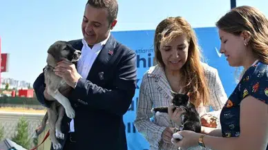 Balıkesir Büyükşehir Belediyesinin Can Dost’u şifa dağıtıyor