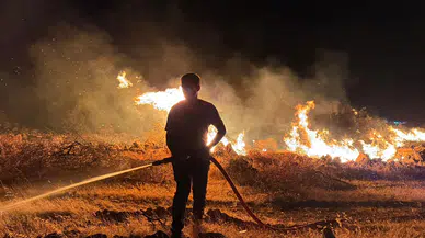 İzmir Buca ve Gaziemir’de Araç Yangını Ormana Sıçradı: Ekipler Seferber Oldu
