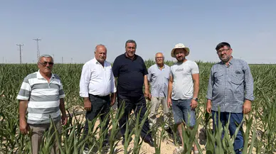 CHP'li Gürer: “Mısır Üreticisini Kuraklık yaktı, ithalat yıktı”