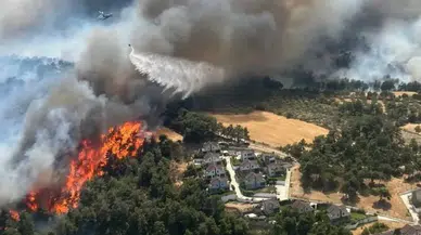 Çanakkale Orman Yangınında Köylülerden “Uçaklar Geç Geldi” Tepkisi: Yangını Biz Söndürdük!