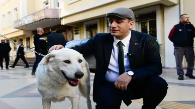 Eros, Bornova'da Sevgi ve Adaletin Temsilcisi Olarak Patili Dostlarla Buluşacak!