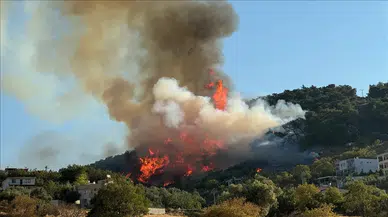 Soma'da Orman Yangını: Havadan ve Karadan Müdahale Sürüyor