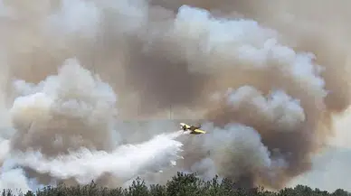 Çanakkale’de Orman Yangını Kontrol Altına Alındı
