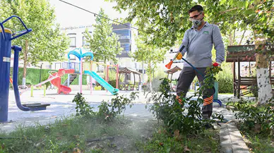 Mersin'de yaz aylarında ilaçlama çalışmaları hız kesmeden sürüyor!