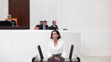 CHP'li Coşar, Turizm Yolu Projesi'ni TBMM'ye taşıdı: Ulaşım sorunlarına dikkat çekti!