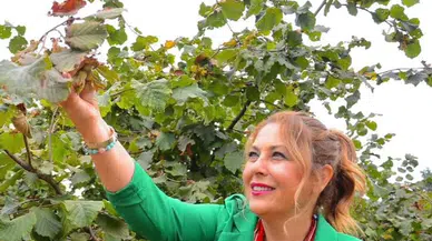 Elvan Işık Gezmiş: “Fındık Fiyatı Hayal Kırıklığı, Üretici Zarara Mahkûm Edildi”