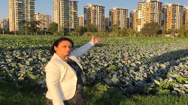 CHP'li Dr. Şevkin: Çiftçi Perişan, Hayvancılık Bitme Noktasında!