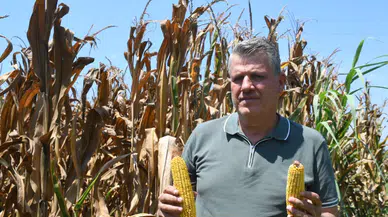 CHP'li Barut: "Sıcak değil, sorunlar yakıyor!"