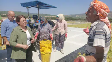 CHP'li Biçer Karaca’dan Bakanlığa: “Sermayenin Değil Üreticinin Yanındayız”