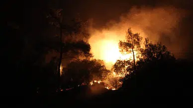Mersin ve Çanakkale’de Orman Yangınlarına Müdahale Sürüyor