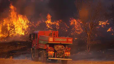 CHP'li Erhan Adem: Orman yangınlarına müdahalede yetersizlikler soru işareti!