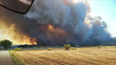 OGM, sıcak hava nedeniyle orman yangını riskine karşı vatandaşları uyardı!