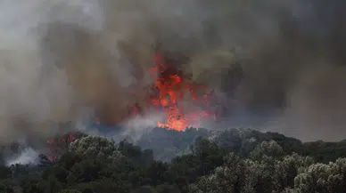 Tekirdağ’da Rüzgarla Yeniden Alevlenen Yangın Kontrol Altına Alındı