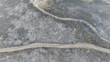 Orman Yangınına En Az Bütçe Ayıran Avrupa Ülkesi Türkiye Oldu!