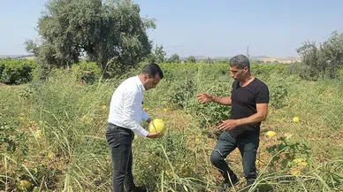 CHP’li Başevirgen: Bu düzen çiftçiyi bitirir!