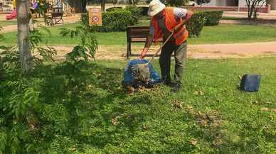 Manavgat Belediyesi’nden Park ve Yeşil Alanlara Yoğun Mesai