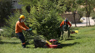 Çankaya Belediyesi'nden Yeşil Alanlara Önemli Bakım Çalışmaları!