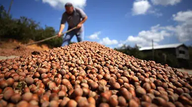 Giresun Belediye Başkanı Köse: “Üreticilerimizin sesi olmaya devam edeceğiz."