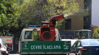 Çankaya Belediyesi'nden yaz aylarında haşereyle etkili mücadele çalışmaları